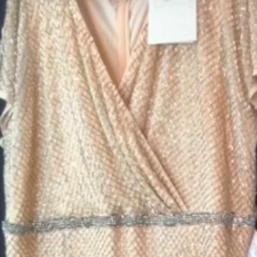 Max Duggal size 22 nwt